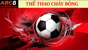 thắc mắc thường gặp tại thể thao abc8