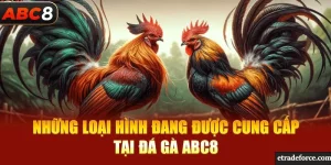 Các loại hình đá gà