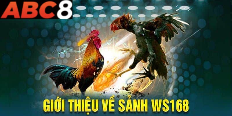 Top game siêu hot tại Sảnh WS168